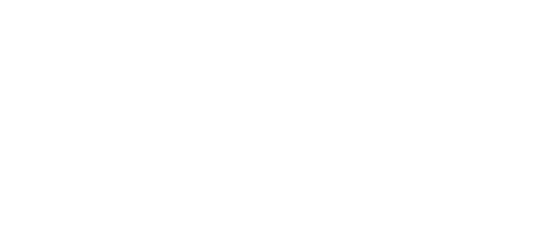 Media Butterfly